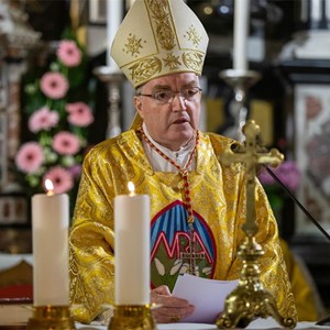 Kardinalova homilija na spomendan Prikazanja Blažene Djevice Marije, Majke Božje od Zdravlja